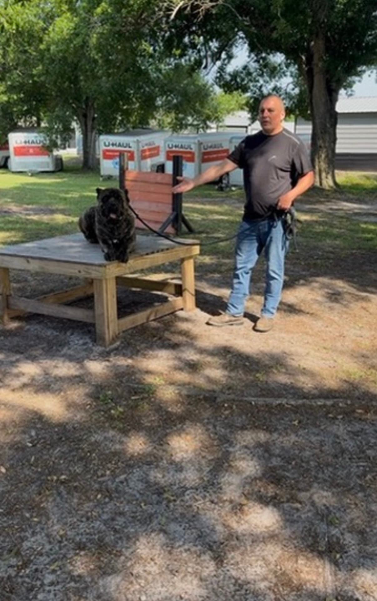 Robert teaching while Rocky lies on a training table during an obedience session