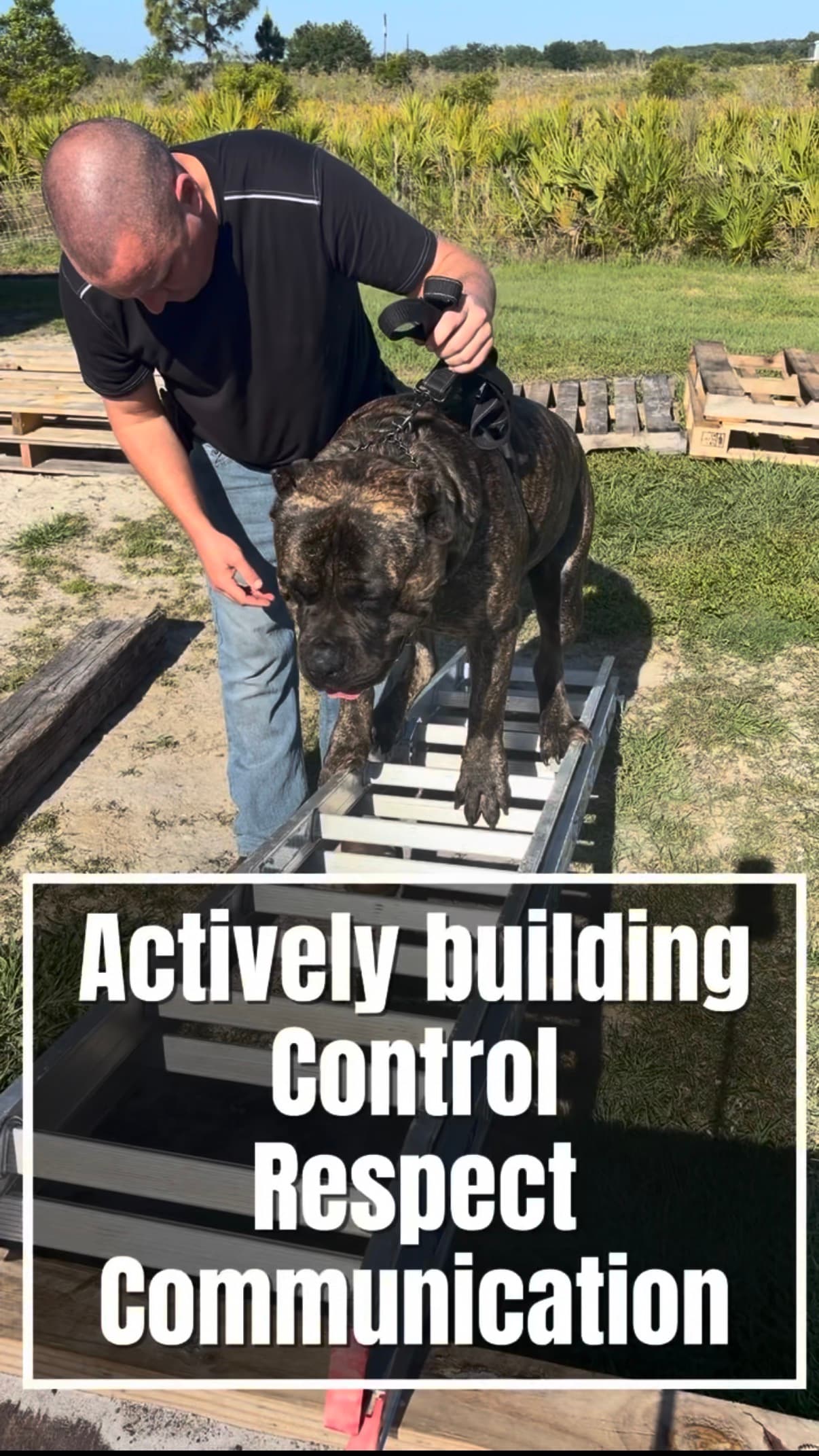 Robert actively building control, respect, and communication with a dog on a training obstacle