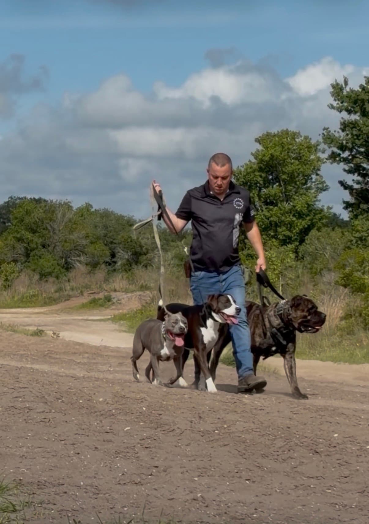 Robert walking three dogs along an outdoor training path